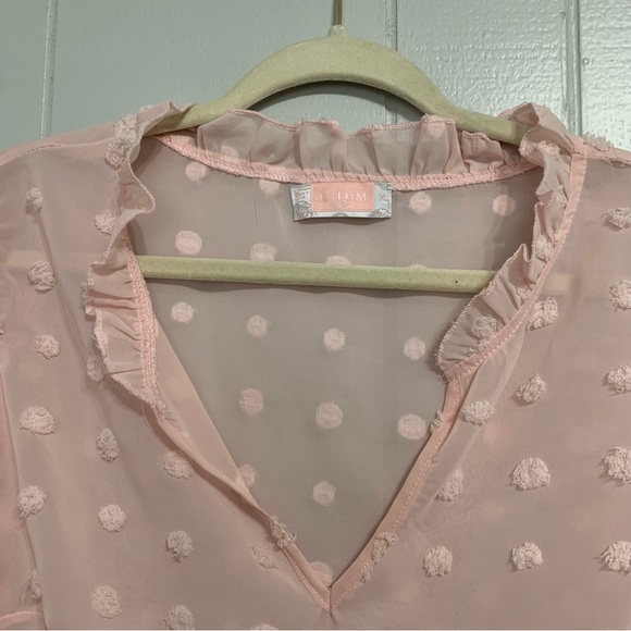 Women’s Light Pink C+D+M Collection Short Sleeve Sheer Swiss Dot V-Neck Blouse - Picture 4 of 6